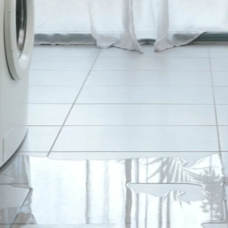Appliance Leak Cleanup in Mount Pocono, PA